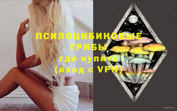 гашик Абинск